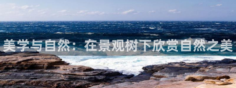新宝gg 彩票