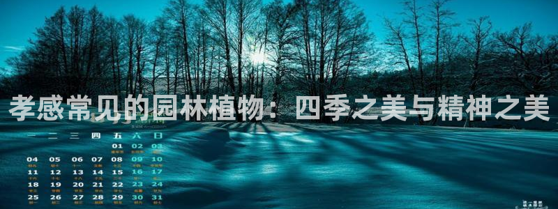 新宝gg主管都是谁