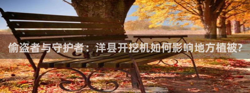 新宝GG卢355051：偷盗者与守护者：洋县开挖机如何影响地方植被?