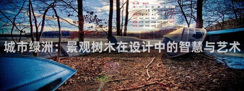新宝gg有规律么：城市绿洲：景观树木在设计中的智慧与艺术