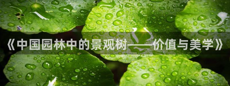 新宝gg如何代理
