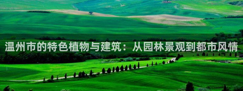 新宝gg一创造奇迹