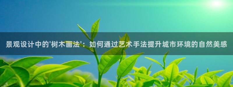 新宝gg开户