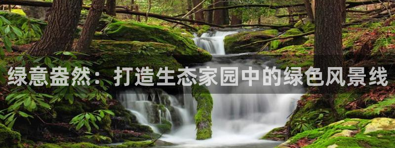 新宝gg招商