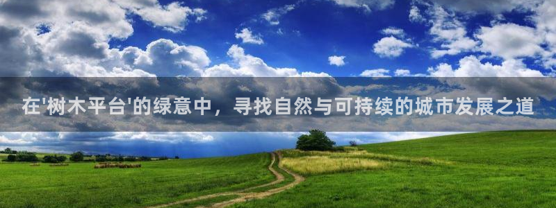 新宝gg网