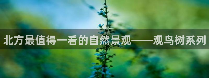 新宝奇迹GG5