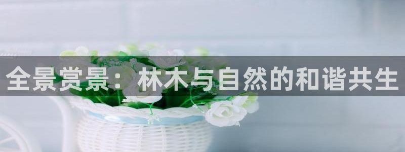 新宝gg平台开发