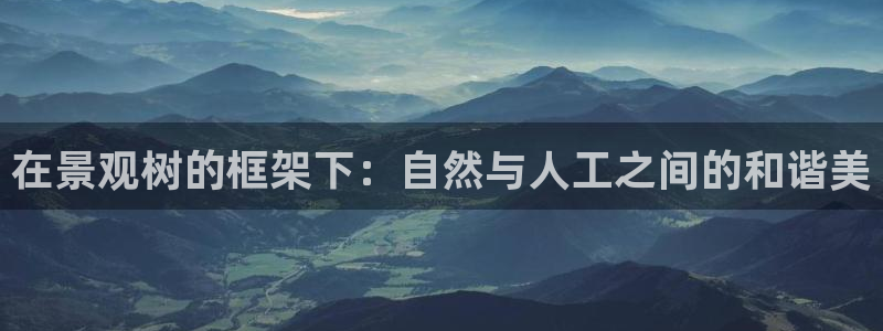 新宝gg计划