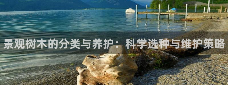 新宝gg联系