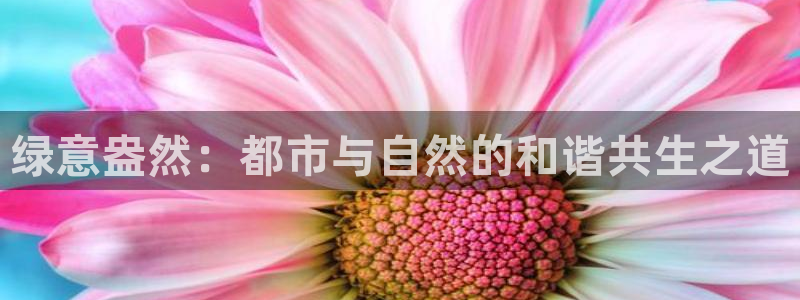 新宝GG股东