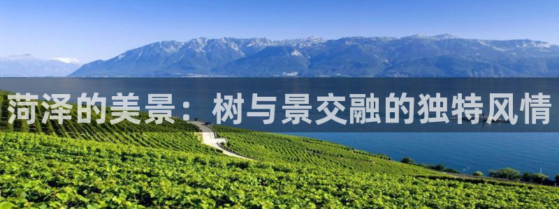 新宝GG于六七五一38