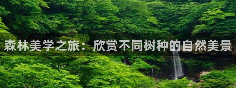 新宝平台gg