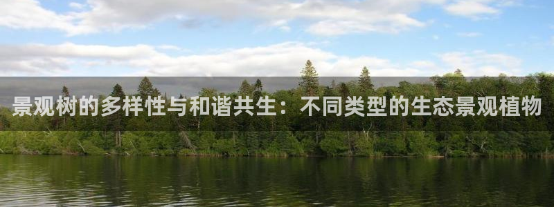 新宝gg作弊