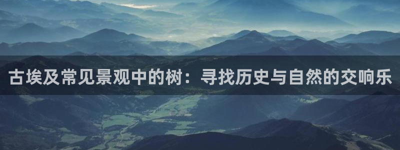新宝gg 开户