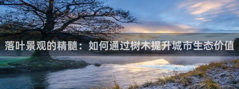 怎么下载新宝gg