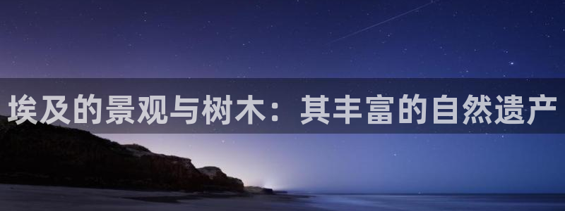 新宝gg计划