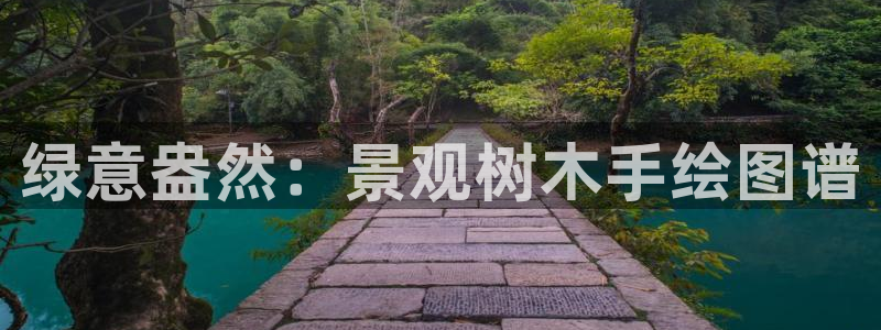新宝gg工资