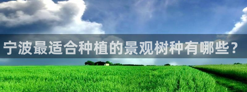 新宝gg样