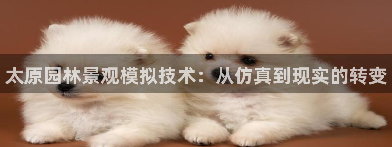 百度新宝gg
