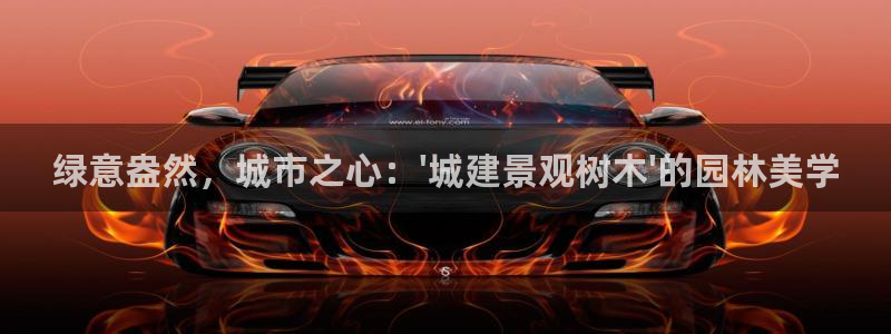 新宝gg 黑
