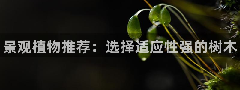 新宝娱乐gg