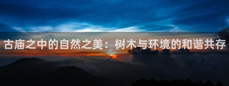 新宝gg最新章节：古庙之中的自然之美：树木与环境的和谐共存
