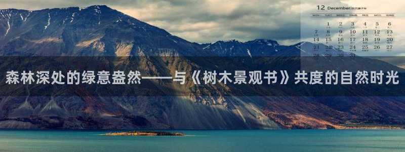新宝gg棋牌：森林深处的绿意盎然——与《树木景观书》共度的自然时光