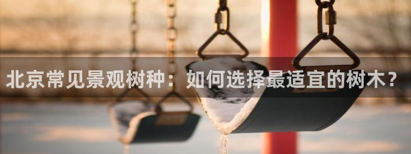 新宝GG程355051：北京常见景观树种：如何选择最适宜的树木？