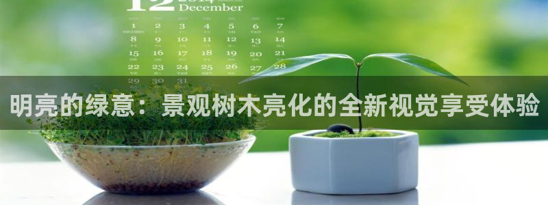 新宝gg平台连接：明亮的绿意：景观树木亮化的全新视觉享受体验