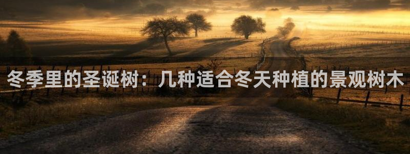 新宝太阳gg