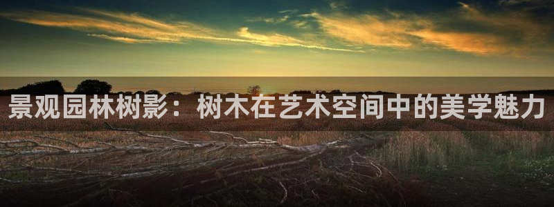新gg官网_新宝GG创造奇迹