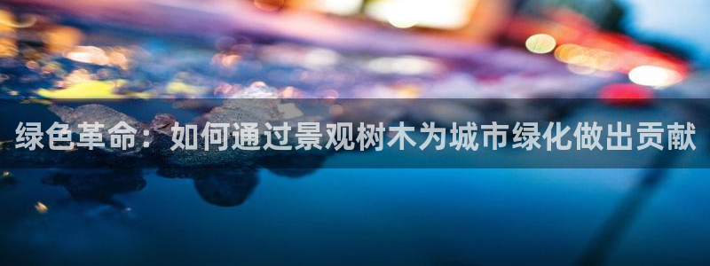 新宝gg 首页