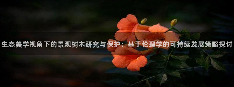 新宝gg招商-299136