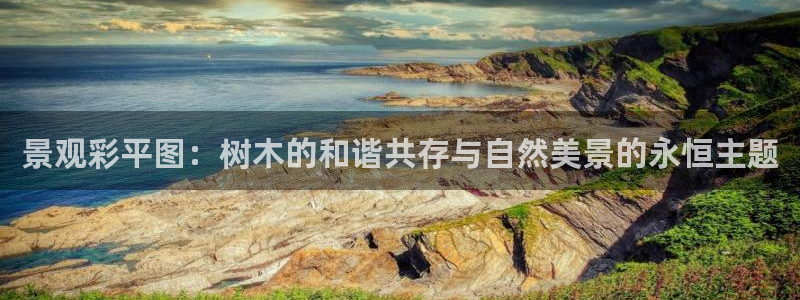 新宝gg娱乐平台