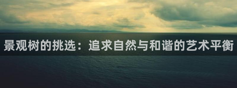 新宝gg娱乐首页
