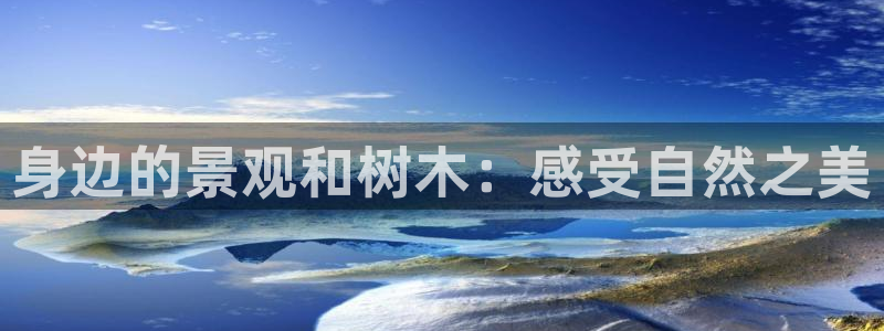 新宝gg如何代理