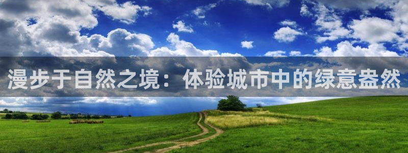 分分新宝gg