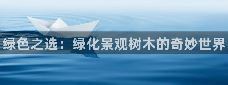 新宝gg下载