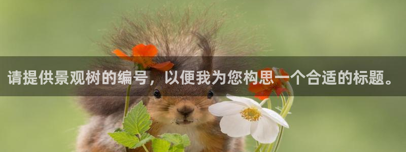 怎么下载新宝gg