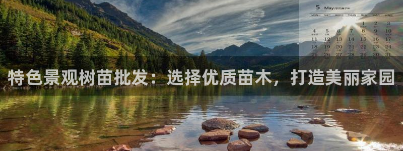 新宝gg指定平台