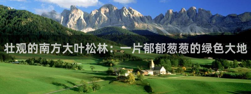 新宝gg入口网址