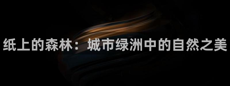 新宝GG53339咨询新宝GG