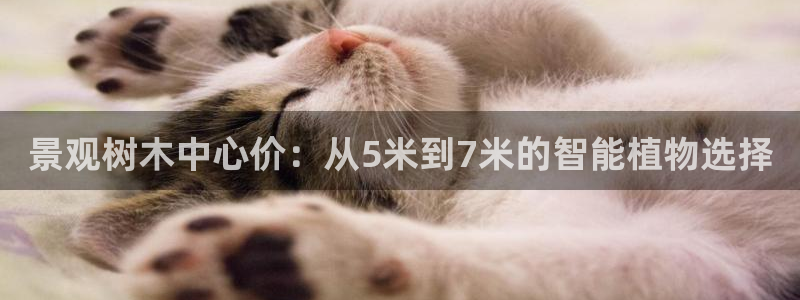 怎么下载新宝gg