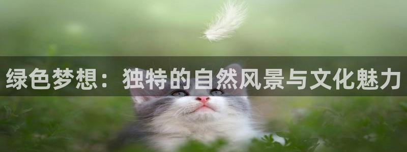 新宝gg金砖彩票