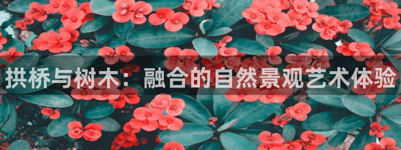 新宝gg套路