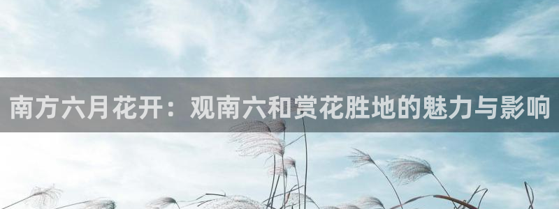 新宝gg网娱乐