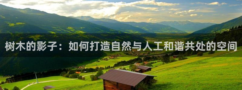新宝gg在哪开户