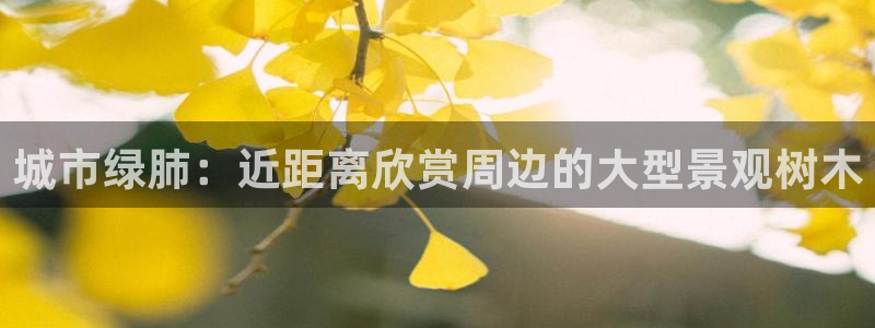新宝gg注销