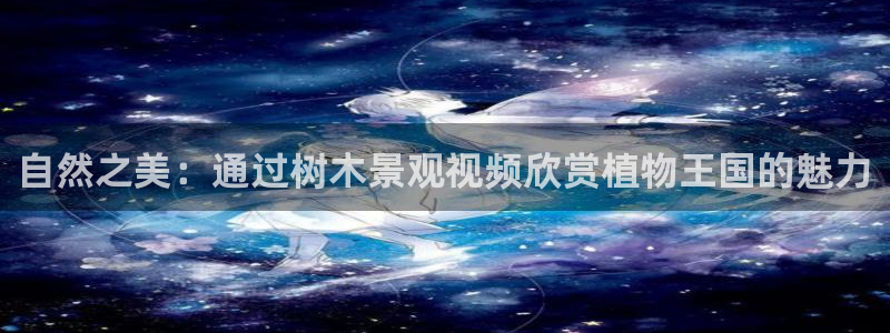 新宝GG扩展78778