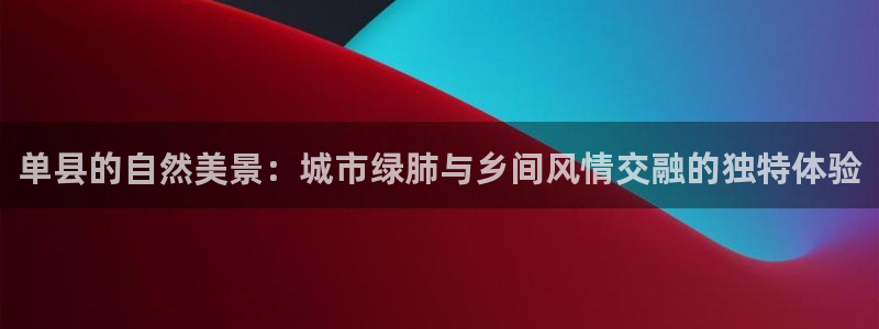 新宝gg与新宝5